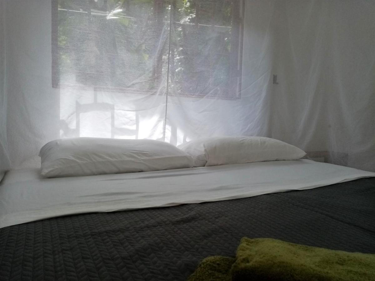 Dos Brazos Bolita Trails And Lodging מראה חיצוני תמונה