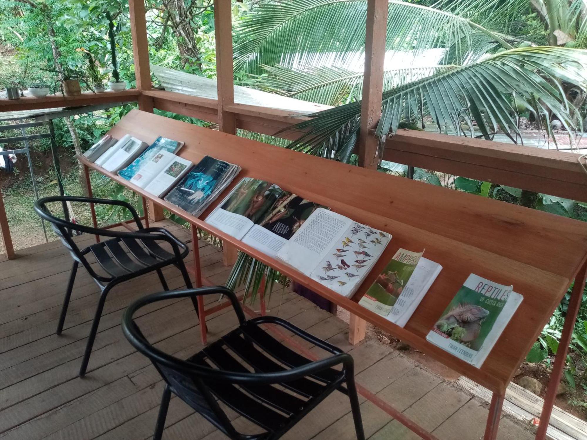 Dos Brazos Bolita Trails And Lodging מראה חיצוני תמונה